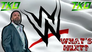 No Name Wrestling Podcast Episode 14, What's The Future For WWE?