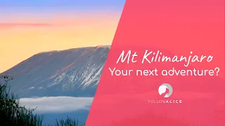 Mt Kilimanjaro | Your next adventure? | Travel Africa