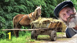 ДЕД и ЛОШАДЬ СУДЬБА КОНЮХА в ДЕРЕВНЕ ЭТО МОЯ ИСТОРИЯ в ЛЕСУ ОТШЕЛЬНИК АУДИОКНИГА ЖИЗНЬ в ТАЙГЕ 1