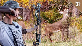 We found the BUCKS!! (Kansas Public Land)