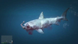 Can you defeat the shark and escape the map in GTA V