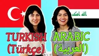 Similarities Between Turkish and Arabic