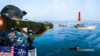 Horrifying Moments! US Navy FGM-147 Javelin vs Ship in Red Sea