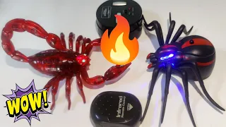 Unboxing Rc Ghost Spider vs Rc Scorpion |Testing video