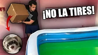 ¡¿LA BEBE ESTABA DENTRO!? | NO TIRES LA CAJA EQUIVOCADA A LA PISCINA DE SLIME CON LYNA