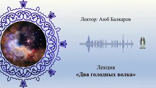 Лекция, два голодных волка, лектор Аюб Балкаров