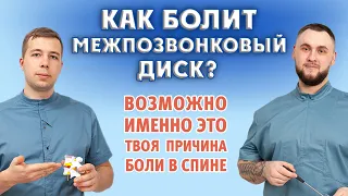 Боль в спине от межпозвонкового диска. Как, почему + лечение.