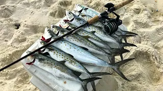 Light Tackle Surf Fishing in Rough Conditions