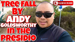 Eric B’s Daily Vlogs #614 - Tree Fall by Andy Goldsworthy In The Presidio