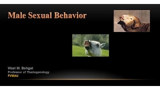 Male Sexual Behaviour