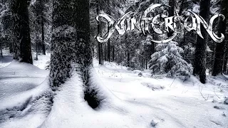 Wintersun - Loneliness (Winter) | Acoustic/Synth Version