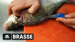 Brasse | Filetieren und Gräten beseitigen XXL | Fisch und Grips