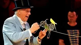Norman Barrett MBE and his amazing budgies: Zippos Circus