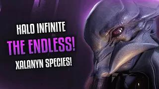 Halo Infinite - THE ENDLESS REVEALED! Xalanyn Species, Surviving Halo, Precursors and More!