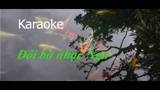 Karaoke Đôi bờ nhạc Nga  Два берега