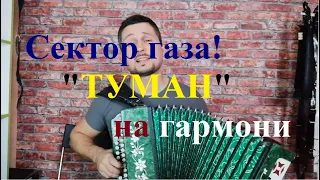 Сектор газа ТУМАН на гармони