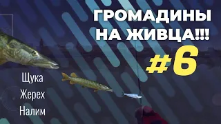 Такую ЩУКУ не всегда поймаешь!!! | Ultimate Fishing Simulator | На живца