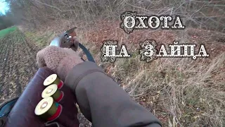 Охота на зайца 2021. Заяц подранок/Hunting for a Hare 2021/16+