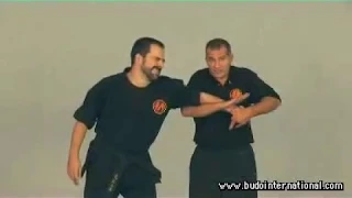 Kyusho Jitsu. Gock´Ng ´Sing. Evan Pantazi