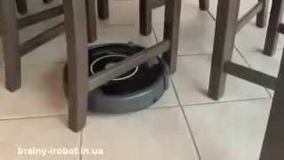 Roomba 650 тест