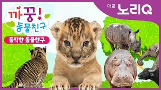 🙈🙉까꿍! 듬직한 동물친구ㅣ자연관찰ㅣ대교 노리QㅣBabies&KidsㅣPikaboo! Animal friendsㅣDaekyo noriQ