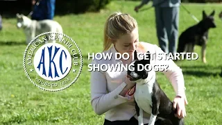 How Do I Get Started Showing Dogs? | Intro to AKC Dog Sports