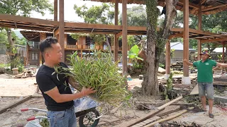 Nhà sàn Gái Bản ( T17 ) |Sắm bộ âm thanh phục vụ văn nghệ múa xoè - trồng thêm nhiều phong lan rừng