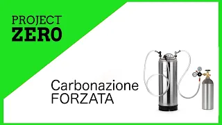Carbonazione Forzata Birra - Force Carbonation - Homebrewing