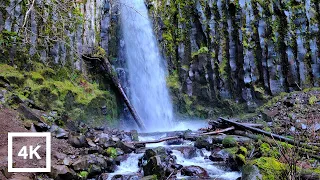 Virtual Treadmill Walking - Trail with Rivers and Waterfalls - Columbia George National Scenic Area