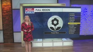 Full flower moon peaked today, look for it tonight