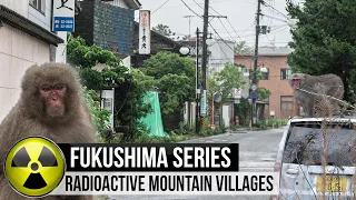 Fukushima's radioactive monkeys & mountain villages