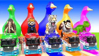 5 Giant Duck, Monkey, Piglet, chicken, cat, gorilla, cow, Sheep, Transfiguration funny animal 2024