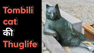 What is the story behind the statue?? The tombili cat | fact by kasim | #short