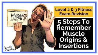 5 Steps To Remember Muscle Origins and Insertions