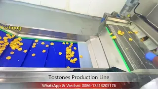 Tostones Production Line / Patacones Production Line / green plantain