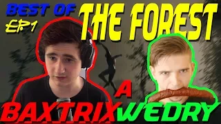 BEST OF BAXTRIX A WEDRY THE FOREST