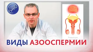 Азооспермия и мужское бесплодие. Виды азооспермии. Рассказывает уролог-андролог ЦИР Живулько А.Р.