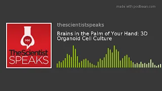 Brains in the Palm of Your Hand: 3D Organoid Cell Culture