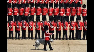 Trooping The Colour 2009 Queens Official Birthday Parade Irish Guards