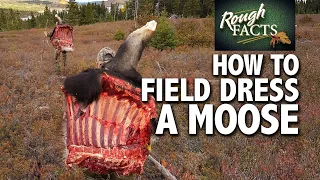 How To Field Dress a Moose (Backpack Made of Moose) | CATCH CLEAN COOK