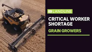 Grain growers face critical shortage of skilled workers | Landline
