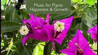 Music for Plants Happiness and Growth; Music Stimulation for Plant Health & Growth