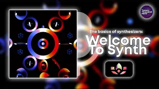 The basics of synthesizers: Welcome to Synth