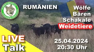 Wolfinfo Aktuell  LIVE TALK     Rumänien:  Wölfe, Bären, Schakale -- Weidetiere