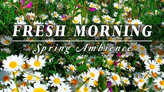 🌿🌞Begin Your Day with the POSITIVE ENERGY of Healing Spring Sounds 🌿 Fresh Morning Meadows Ambience