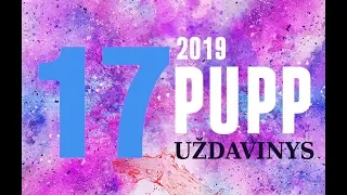 17 uždavinys | PUPP 2019