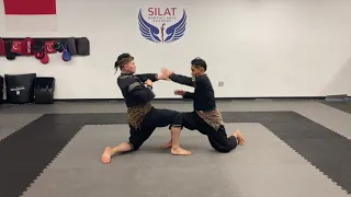 Silat Martial Arts Academy - Satria Fighting Arts: Pukulan (Striking)