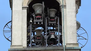 Concert of bells in Rho during the patronal feast of the city