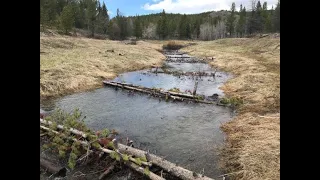 Holding Back the Snowpack