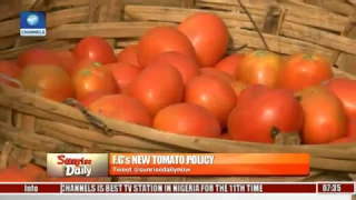 Nigeria Spends Over $1bn Yearly On Tomato Import - Erisco Foods